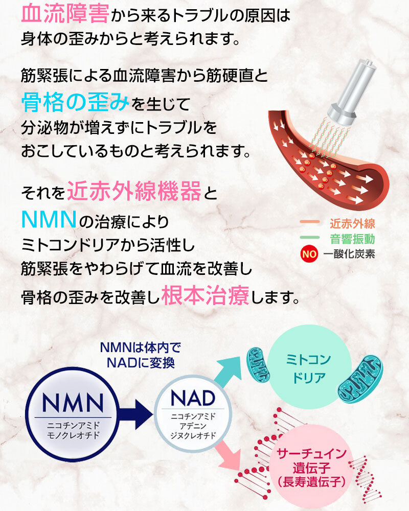 リバースエイジング イメージ