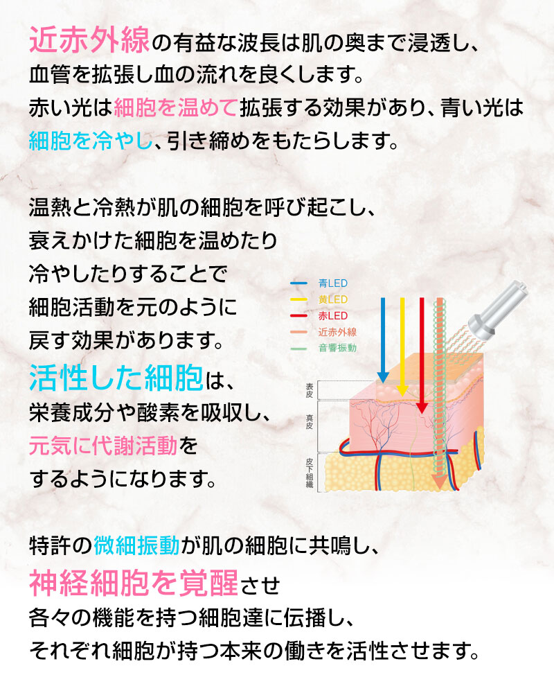 リバースエイジング イメージ